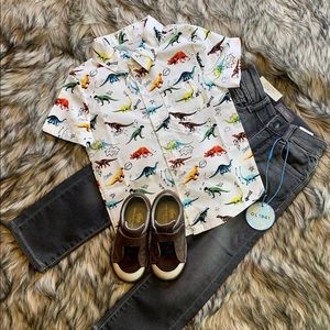 Toddler boys buttons down Dinosaur Shirt 🦕